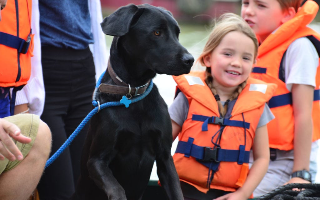 Dog friendly canal holidays with Foxhangers