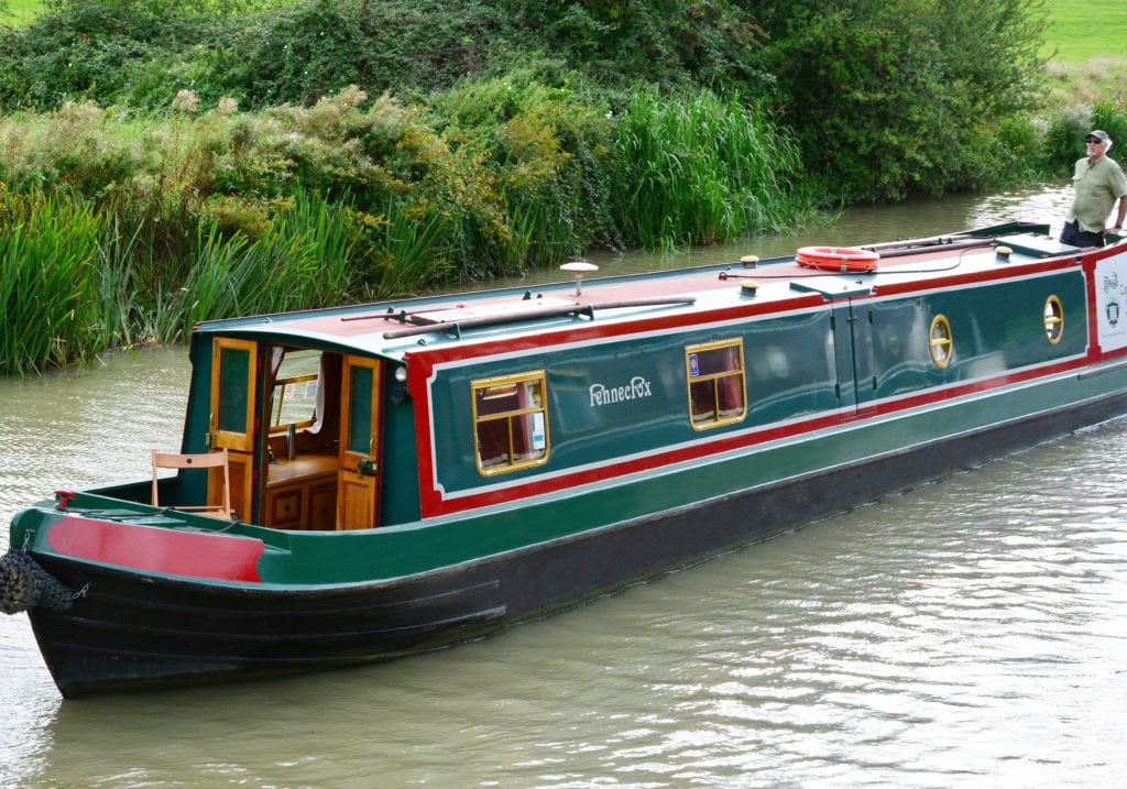 fennec fox external on the canal