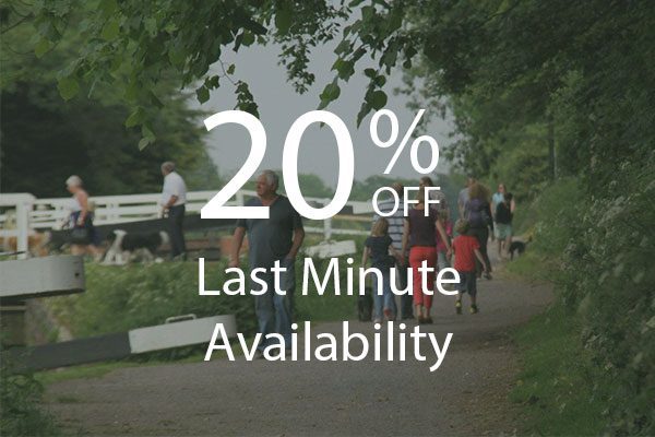 20%-Last-Minute-Availability
