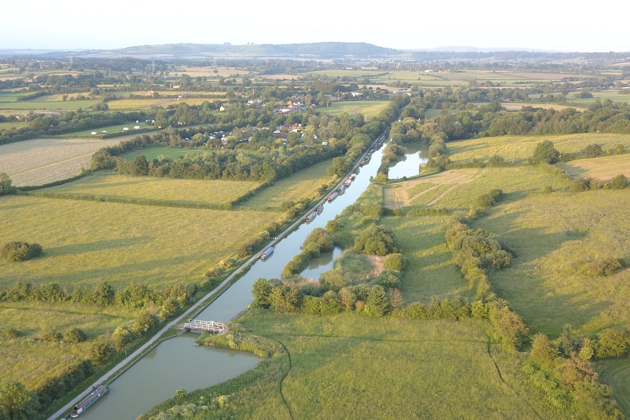 Fennec-Fox-at-Sells-Green-swing-bridge