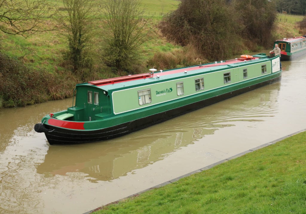 Darwin's Fox, on the Kennet & Avon Canal