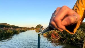 Hand steering a narrowboat along a calm canal with a brass fox ornament on the tiller.